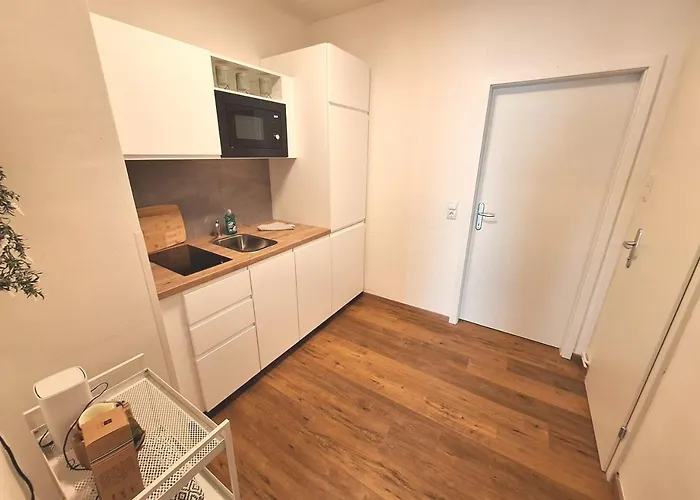 Flataid Cityapartment Stadlgasse - Griessplatz Γκρατς